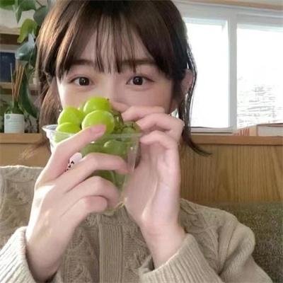 护宝风云